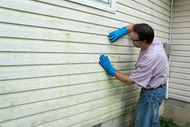 Best Siding Maintenance  in Union, KY